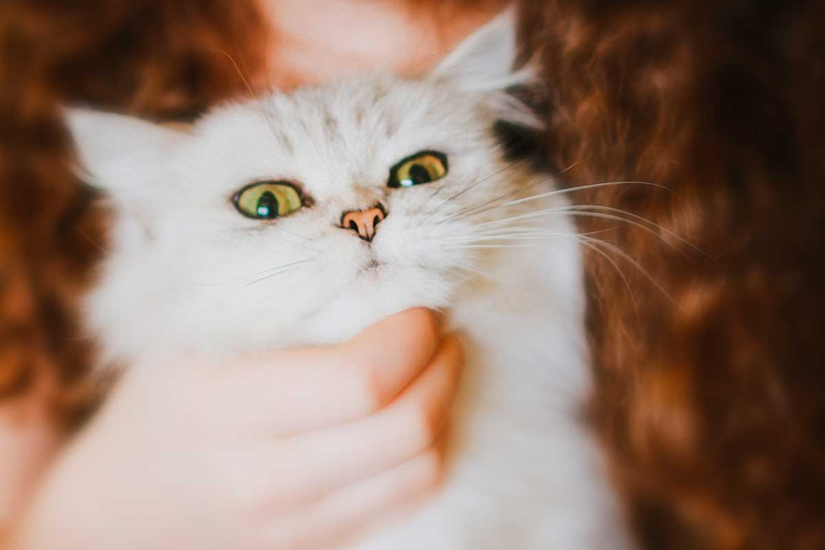 7 Simple Ways To Blow A Kiss Like A Pro